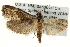  ( - CCDB-20277-H02)  @13 [ ] CreativeCommons - Attribution (2013) CBG Photography Group Centre for Biodiversity Genomics