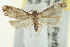  ( - CCDB-20277-H06)  @13 [ ] CreativeCommons - Attribution (2013) CBG Photography Group Centre for Biodiversity Genomics