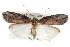  ( - CCDB-20821-E10)  @11 [ ] CreativeCommons - Attribution (2013) CBG Photography Group Centre for Biodiversity Genomics