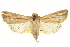  ( - CCDB-20821-F06)  @14 [ ] CreativeCommons - Attribution (2013) CBG Photography Group Centre for Biodiversity Genomics