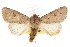  ( - CCDB-20821-G10)  @11 [ ] CreativeCommons - Attribution (2013) CBG Photography Group Centre for Biodiversity Genomics