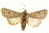  ( - CCDB-20821-G11)  @11 [ ] CreativeCommons - Attribution (2013) CBG Photography Group Centre for Biodiversity Genomics