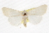  ( - CCDB-20821-H05)  @11 [ ] CreativeCommons - Attribution (2013) CBG Photography Group Centre for Biodiversity Genomics