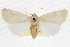 ( - CCDB-20821-H06)  @11 [ ] CreativeCommons - Attribution (2013) CBG Photography Group Centre for Biodiversity Genomics