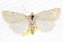  ( - CCDB-20821-H07)  @11 [ ] CreativeCommons - Attribution (2013) CBG Photography Group Centre for Biodiversity Genomics