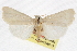  ( - CCDB-20821-H08)  @11 [ ] CreativeCommons - Attribution (2013) CBG Photography Group Centre for Biodiversity Genomics