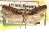  ( - CCDB-23272-B03)  @11 [ ] CreativeCommons - Attribution (2014) CBG Photography Group Centre for Biodiversity Genomics
