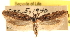  ( - CCDB-23272-B08)  @11 [ ] CreativeCommons - Attribution (2014) CBG Photography Group Centre for Biodiversity Genomics