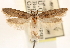  ( - CCDB-23272-B09)  @11 [ ] CreativeCommons - Attribution (2014) CBG Photography Group Centre for Biodiversity Genomics