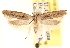  ( - CCDB-23272-B10)  @11 [ ] CreativeCommons - Attribution (2014) CBG Photography Group Centre for Biodiversity Genomics
