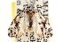  ( - CCDB-23272-D05)  @11 [ ] CreativeCommons - Attribution (2014) CBG Photography Group Centre for Biodiversity Genomics