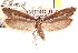  ( - CCDB-23272-D06)  @11 [ ] CreativeCommons - Attribution (2014) CBG Photography Group Centre for Biodiversity Genomics