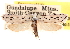  ( - CCDB-23272-E02)  @11 [ ] CreativeCommons - Attribution (2014) CBG Photography Group Centre for Biodiversity Genomics