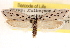  ( - CCDB-23272-E04)  @11 [ ] CreativeCommons - Attribution (2014) CBG Photography Group Centre for Biodiversity Genomics