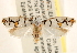  (Ethmia cypraeela - CCDB-23272-H10)  @14 [ ] CreativeCommons - Attribution (2014) CBG Photography Group Centre for Biodiversity Genomics