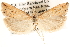  ( - CCDB-22956-D04)  @13 [ ] CreativeCommons - Attribution (2014) CBG Photography Group Centre for Biodiversity Genomics