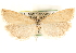  ( - CCDB-22956-D06)  @13 [ ] CreativeCommons - Attribution (2014) CBG Photography Group Centre for Biodiversity Genomics