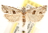  ( - CCDB-22956-D08)  @15 [ ] CreativeCommons - Attribution (2014) CBG Photography Group Centre for Biodiversity Genomics