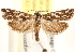  ( - CCDB-22956-G12)  @13 [ ] CreativeCommons - Attribution (2014) CBG Photography Group Centre for Biodiversity Genomics