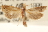  ( - CCDB-22956-H04)  @11 [ ] CreativeCommons - Attribution (2014) CBG Photography Group Centre for Biodiversity Genomics