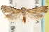  ( - CCDB-22959-B03)  @13 [ ] CreativeCommons - Attribution (2014) CBG Photography Group Centre for Biodiversity Genomics