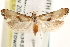  ( - CCDB-22959-B04)  @14 [ ] CreativeCommons - Attribution (2014) CBG Photography Group Centre for Biodiversity Genomics