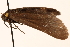  ( - CCDB-22941-F09)  @11 [ ] CreativeCommons - Attribution (2014) CBG Photography Group Centre for Biodiversity Genomics