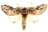  ( - CCDB-22941-G12)  @11 [ ] CreativeCommons - Attribution (2014) CBG Photography Group Centre for Biodiversity Genomics