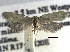  ( - CCDB-22942-B11)  @11 [ ] CreativeCommons - Attribution (2014) CBG Photography Group Centre for Biodiversity Genomics