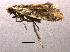  ( - CCDB-22942-C01)  @12 [ ] CreativeCommons - Attribution (2014) CBG Photography Group Centre for Biodiversity Genomics