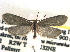  ( - CCDB-22942-E04)  @13 [ ] CreativeCommons - Attribution (2014) CBG Photography Group Centre for Biodiversity Genomics
