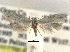  ( - CCDB-22942-E06)  @11 [ ] CreativeCommons - Attribution (2014) CBG Photography Group Centre for Biodiversity Genomics