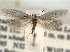  ( - CCDB-22942-E07)  @13 [ ] CreativeCommons - Attribution (2014) CBG Photography Group Centre for Biodiversity Genomics