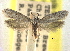  ( - CCDB-22942-E09)  @11 [ ] CreativeCommons - Attribution (2014) CBG Photography Group Centre for Biodiversity Genomics