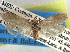  ( - CCDB-22942-E12)  @13 [ ] CreativeCommons - Attribution (2014) CBG Photography Group Centre for Biodiversity Genomics
