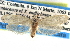 ( - CCDB-22942-F01)  @13 [ ] CreativeCommons - Attribution (2014) CBG Photography Group Centre for Biodiversity Genomics