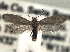 ( - CCDB-22942-G09)  @11 [ ] CreativeCommons - Attribution (2014) CBG Photography Group Centre for Biodiversity Genomics