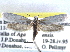  ( - CCDB-22942-H07)  @11 [ ] CreativeCommons - Attribution (2014) CBG Photography Group Centre for Biodiversity Genomics