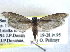  ( - CCDB-22942-H08)  @13 [ ] CreativeCommons - Attribution (2014) CBG Photography Group Centre for Biodiversity Genomics