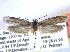  ( - CCDB-22942-H10)  @11 [ ] CreativeCommons - Attribution (2014) CBG Photography Group Centre for Biodiversity Genomics