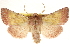  ( - CCDB-22943-E02)  @11 [ ] CreativeCommons - Attribution (2014) CBG Photography Group Centre for Biodiversity Genomics