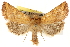  ( - CCDB-22943-E12)  @14 [ ] CreativeCommons - Attribution (2014) CBG Photography Group Centre for Biodiversity Genomics