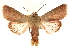  ( - CCDB-22943-H11)  @15 [ ] CreativeCommons - Attribution (2014) CBG Photography Group Centre for Biodiversity Genomics