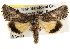  ( - CCDB-22944-A03)  @13 [ ] CreativeCommons - Attribution (2014) CBG Photography Group Centre for Biodiversity Genomics