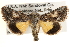  ( - CCDB-22944-A05)  @14 [ ] CreativeCommons - Attribution (2014) CBG Photography Group Centre for Biodiversity Genomics