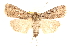  ( - CCDB-22944-H02)  @12 [ ] CreativeCommons - Attribution (2014) CBG Photography Group Centre for Biodiversity Genomics