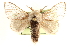  ( - CCDB-22945-F07)  @14 [ ] CreativeCommons - Attribution (2014) CBG Photography Group Centre for Biodiversity Genomics