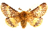  ( - CCDB-22945-H08)  @11 [ ] CreativeCommons - Attribution (2014) CBG Photography Group Centre for Biodiversity Genomics