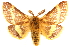  ( - CCDB-22945-H09)  @11 [ ] CreativeCommons - Attribution (2014) CBG Photography Group Centre for Biodiversity Genomics