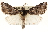  ( - CCDB-22947-B04)  @15 [ ] CreativeCommons - Attribution (2014) CBG Photography Group Centre for Biodiversity Genomics